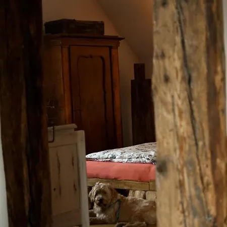 Rajska Willa 라이차