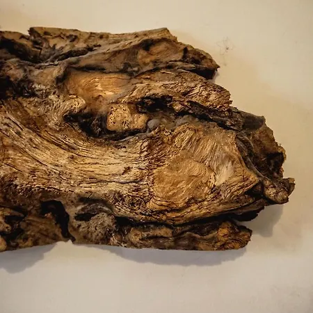 Hotel Rajska Willa Rajcza