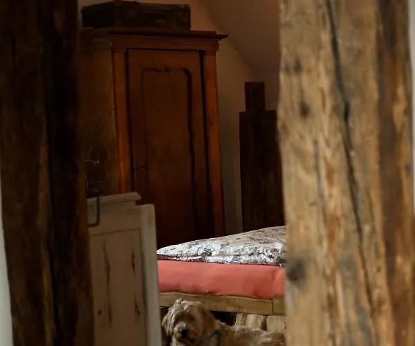 Rajska Willa רייצ'ה