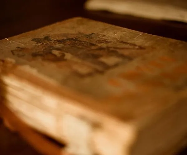 Rajska Willa מלון *