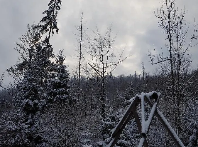 Rajska Willa רייצ'ה
