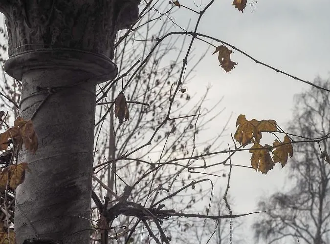 Rajska Willa * רייצ'ה