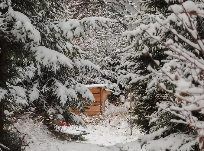 Rajska Willa מלון *