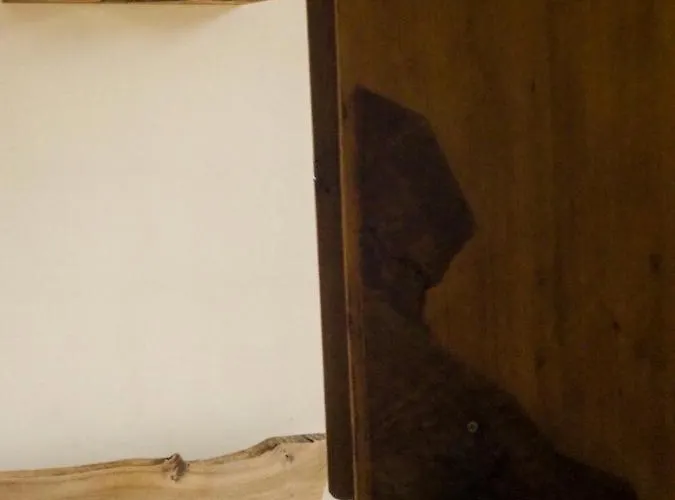 Rajska Willa * רייצ'ה