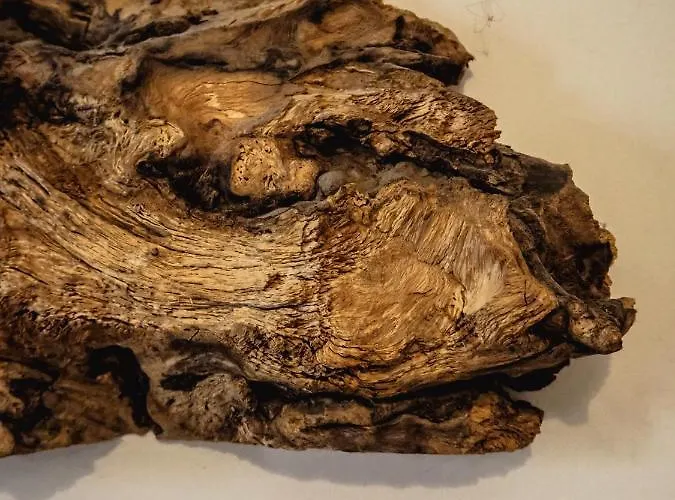 מלון Rajska Willa רייצ'ה